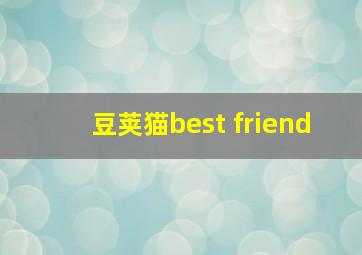 豆荚猫best friend